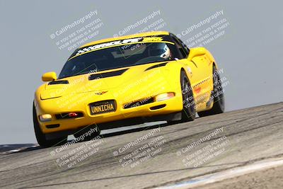 media/Jul-26-2025-Speed Ventures (Sat) [[fe569e6cf0]]/Green Group/Grapevine/